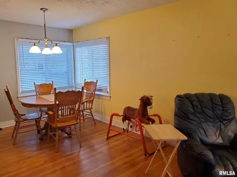 829 Dewey St, Eldorado, IL 62930 photo 10