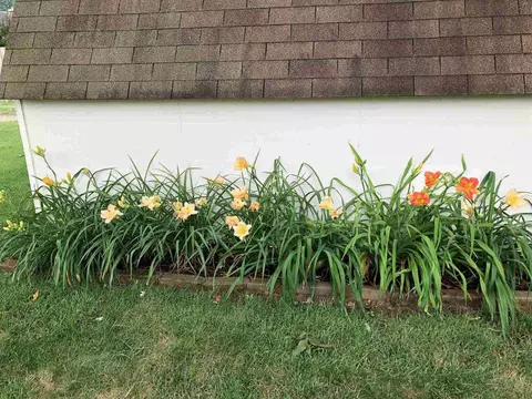 602 S Future St, Marion, IL 62959 photo 23