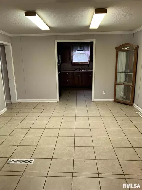 133 E Vine St, Tamaroa, IL 62888 photo 4