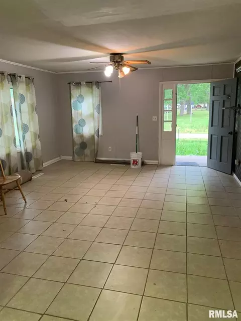 133 E Vine St, Tamaroa, IL 62888 photo 5