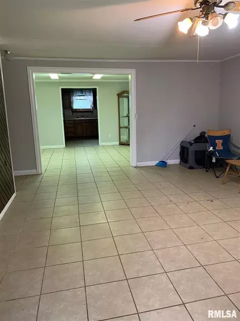 133 E Vine St, Tamaroa, IL 62888 photo 6