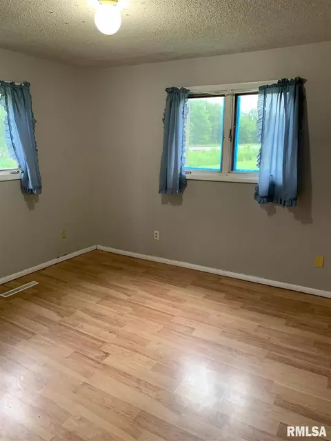133 E Vine St, Tamaroa, IL 62888 photo 9