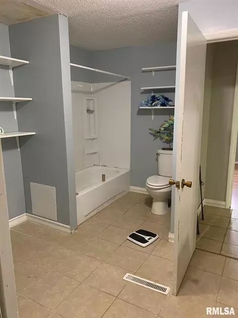 133 E Vine St, Tamaroa, IL 62888 photo 10