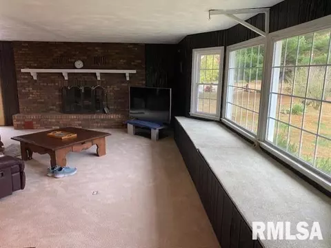 2949 E 650th Ave, Farina, IL 62838 photo 26