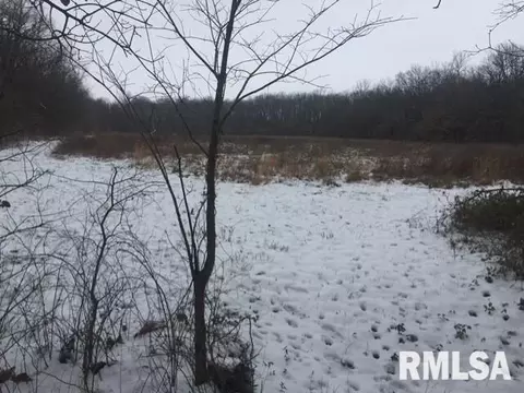 2949 E 650th Ave, Farina, IL 62838 photo 36