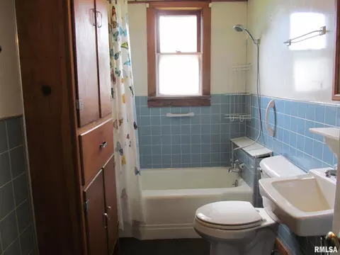 218 E South St, Dix, IL 62830 photo 13