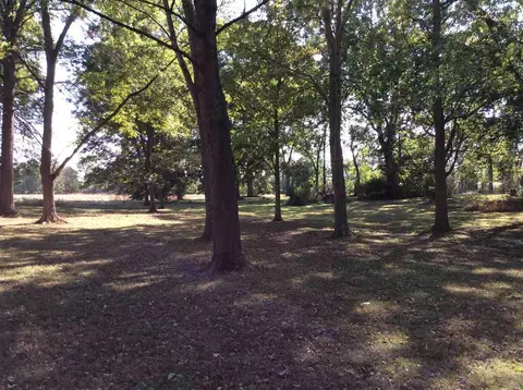 15075 E Reef Rd, Mount Vernon, IL 62864 photo 20