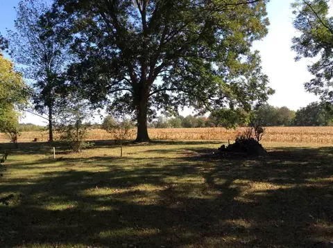 15075 E Reef Rd, Mount Vernon, IL 62864 photo 14