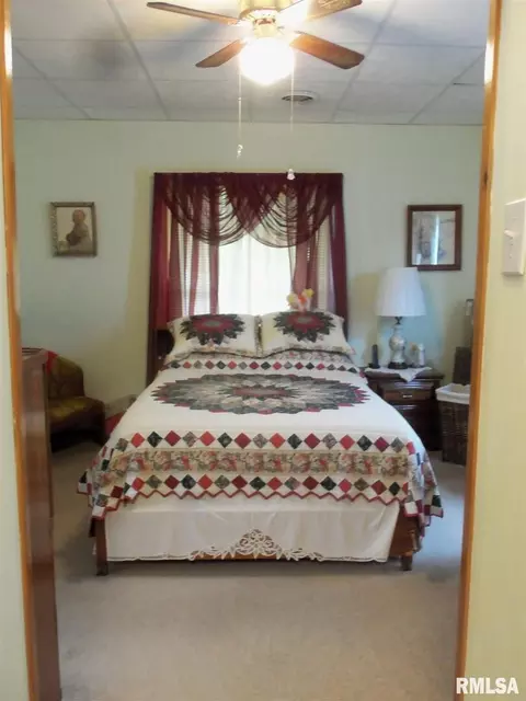 709 S Mulkey St, Christopher, IL 62822 photo 20