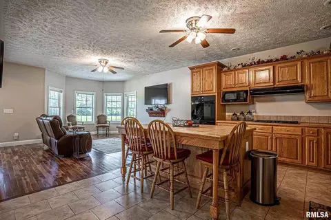 7557 E Grant Rd, Walnut Hill, IL 62893 photo 8