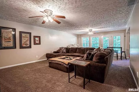 7557 E Grant Rd, Walnut Hill, IL 62893 photo 12