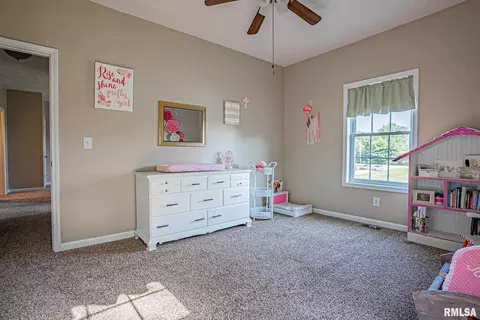 7557 E Grant Rd, Walnut Hill, IL 62893 photo 18