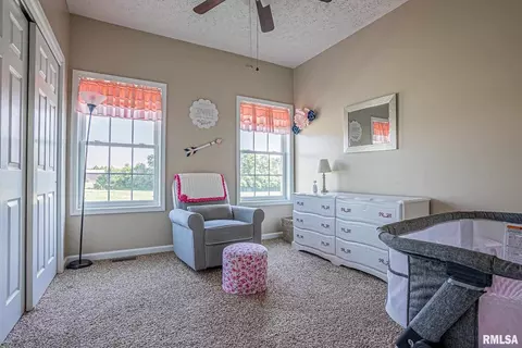 7557 E Grant Rd, Walnut Hill, IL 62893 photo 17
