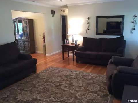 1508 N Main St, Dix, IL 62830 photo 22