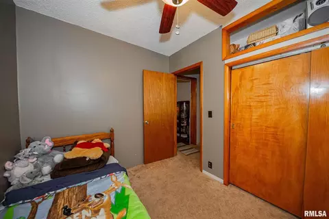110 W Patton St, Valier, IL 62891 photo 20