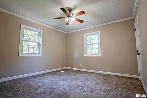 234 Oak Tree Ave, Salem, IL 62881 photo 23