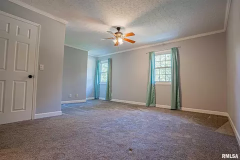 234 Oak Tree Ave, Salem, IL 62881 photo 19