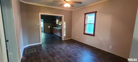 115 N Madison St, Orient, IL 62874 photo 10