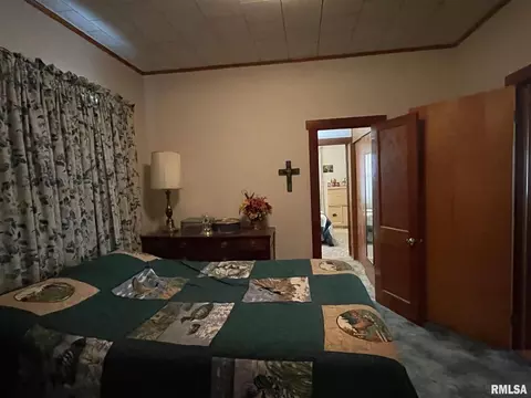 719 E Taylor St, Benton, IL 62812 photo 21