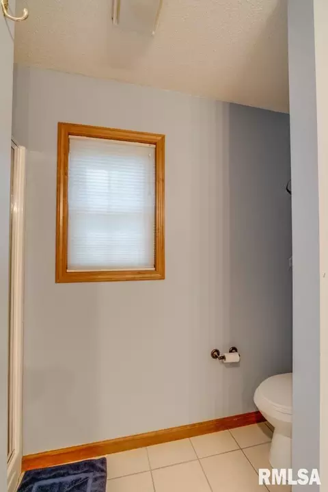 17834 Shadow Lake Rd, Mount Vernon, IL 62864 photo 30