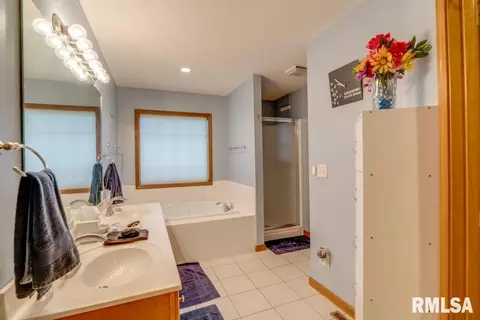 17834 Shadow Lake Rd, Mount Vernon, IL 62864 photo 28