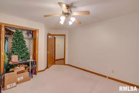 17834 Shadow Lake Rd, Mount Vernon, IL 62864 photo 22