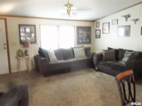 16341 Bean Rd, Whittington, IL 62897 photo 20