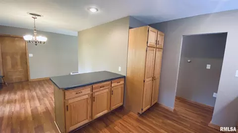 102 Cherry St, Anna, IL 62906 photo 17