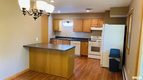 102 Cherry St, Anna, IL 62906 photo 13