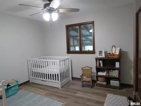 764 Johnson Rd, Iuka, IL 62849 photo 8