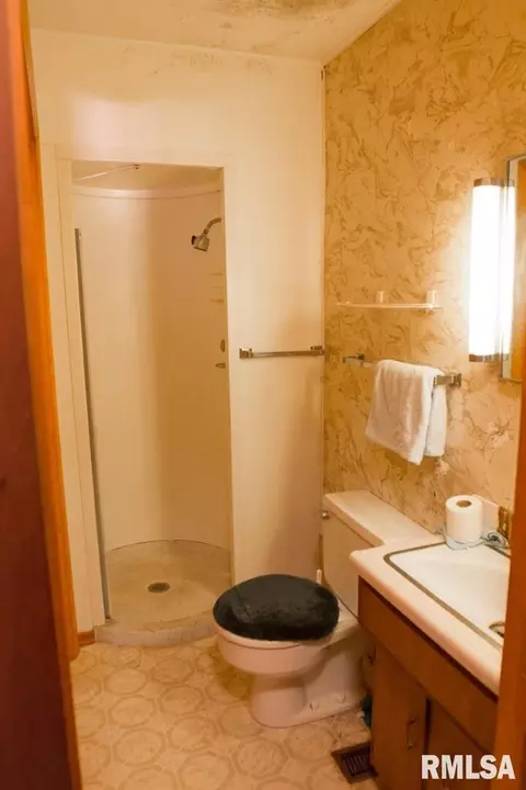 212 E Ash St, Cobden, IL 62920 photo 21
