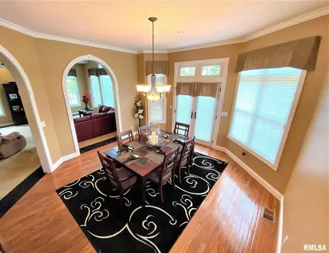222 Hemlock Ln, Flora, IL 62839 photo 17