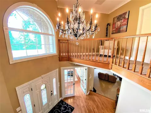 222 Hemlock Ln, Flora, IL 62839 photo 24