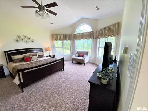 222 Hemlock Ln, Flora, IL 62839 photo 29