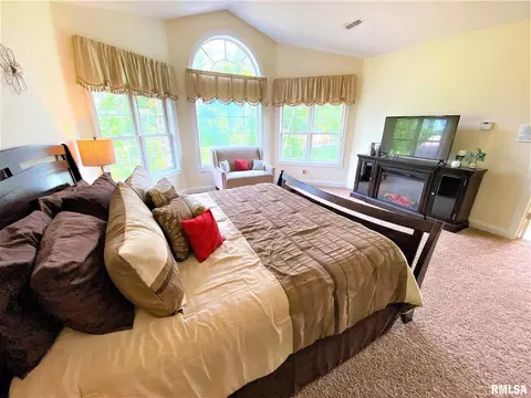 222 Hemlock Ln, Flora, IL 62839 photo 25
