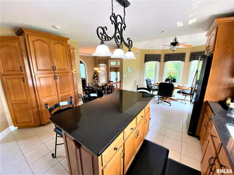 222 Hemlock Ln, Flora, IL 62839 photo 19