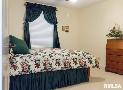 405 E Reichert Dr, Marion, IL 62959 photo 27