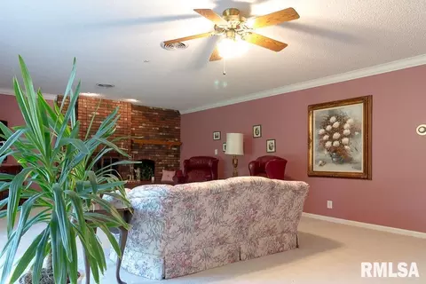 405 E Reichert Dr, Marion, IL 62959 photo 4