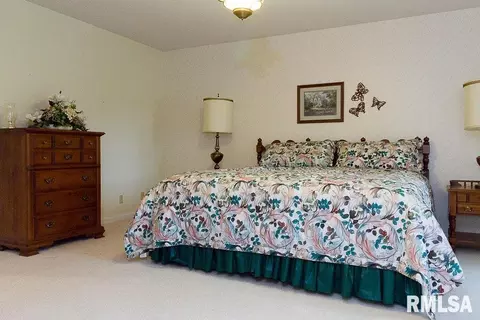 405 E Reichert Dr, Marion, IL 62959 photo 21
