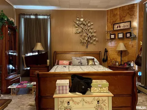 304 E Chestnut St, Anna, IL 62906 photo 20