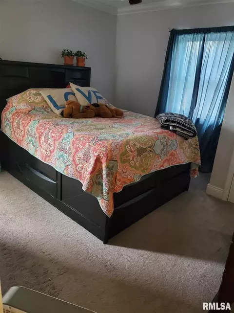 706 S Jesse St, Christopher, IL 62822 photo 10