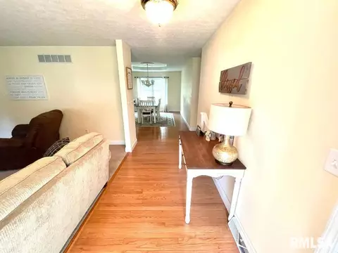 8 Agape Ln, Centralia, IL 62801 photo 4