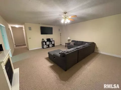 8 Agape Ln, Centralia, IL 62801 photo 12
