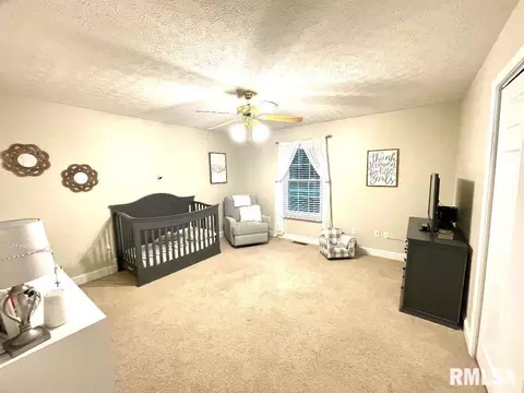 8 Agape Ln, Centralia, IL 62801 photo 10