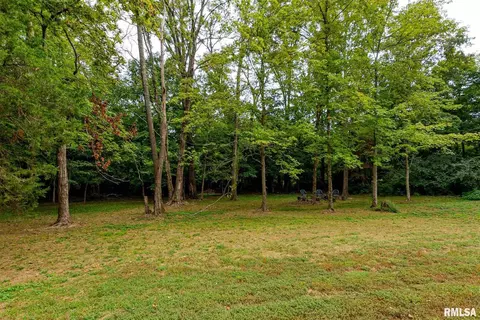 11795 E Oak Ln, Mount Vernon, IL 62864 photo 4