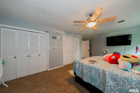 11795 E Oak Ln, Mount Vernon, IL 62864 photo 23