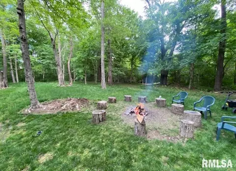 11795 E Oak Ln, Mount Vernon, IL 62864 photo 39