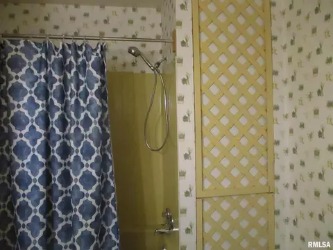 811 S Emma St, Christopher, IL 62822 photo 9