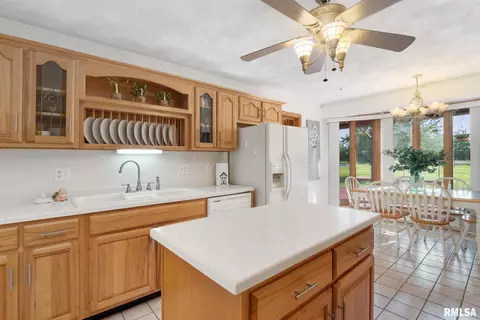 12250 Tower Rd, Richview, IL 62877 photo 10