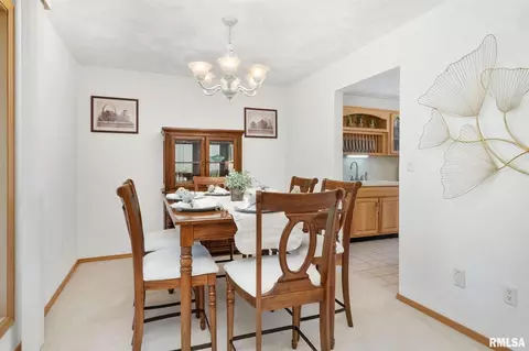 12250 Tower Rd, Richview, IL 62877 photo 8